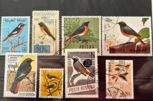 Vogelmotivsammlung - kl.,