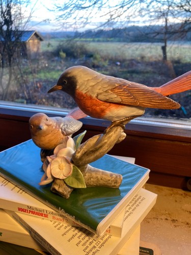 Goebel vogel des jahres - goebel,