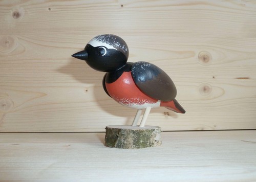 Vogel gartenrotschwanz cm - vogel,