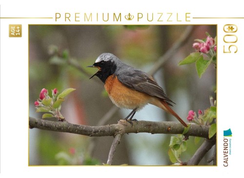 Calvendo puzzle - calvendo,