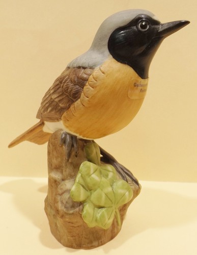 Schöner kleiner goebel vogel - goebel,