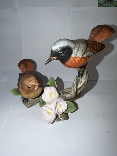 Goebel gartenrotschwanz vogel - goebel,