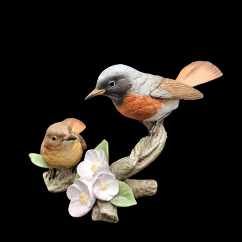 Goebel gartenrotschwanz vogel - goebel:,
