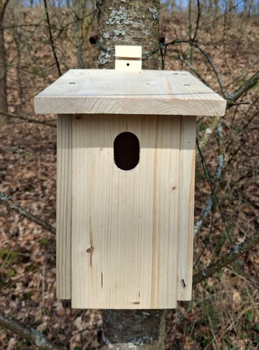 Nistkasten für