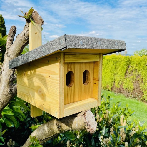 Darlux natur holz - natur, nistkasten